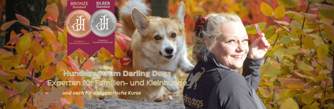 Hilfe / Anleitungen